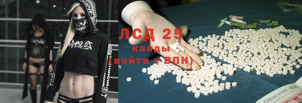 эйфоретик Беломорск