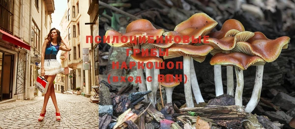 бутират Белокуриха