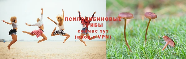 эйфоретик Беломорск