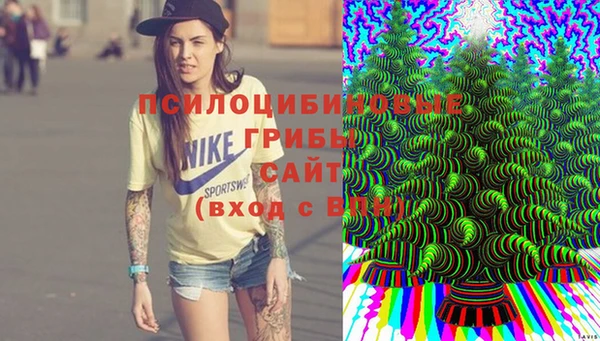 эйфоретик Беломорск